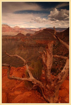 Grand_canyon